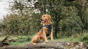 Nicolas FRUCHART - NICOLAS FRUCH'ART PHOTOGRAPHY